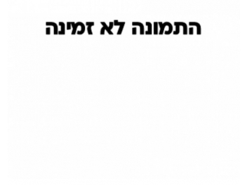 סט 3 כפיות קוקטייל ארוכות מאיורקה