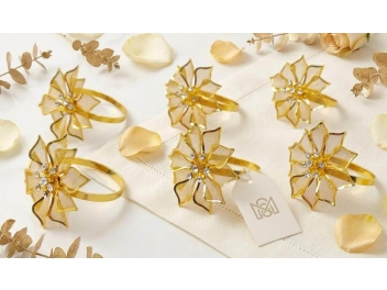 סט 6 טבעות למפיות הדר